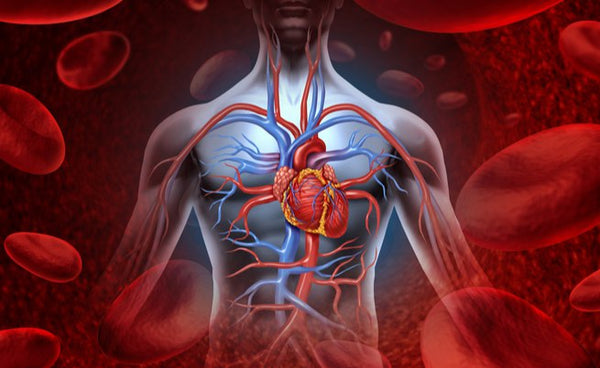 Ipertensione: Cause e Fattori di Rischio